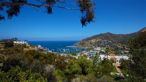 Städtereisen Catalina Island Reisen And Kurzurlaub Bei Expedia De