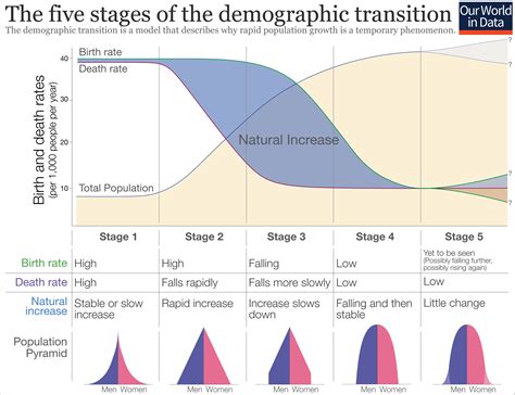 population pyramids concise medical knowledge