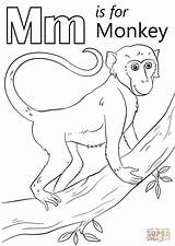 Coloring Monkey Letter Pages Printable Alphabet Supercoloring Colouring Print Sheets Preschool Kids Animal Animals Letters Super Abc Everfreecoloring Paper Drawing sketch template