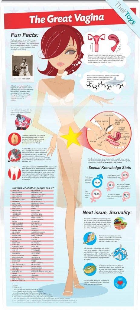 fun facts about the great vagina infographic seriously