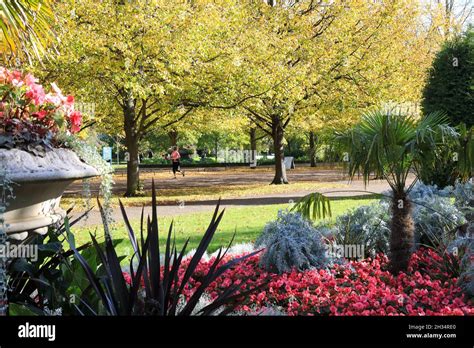 beautiful formal english gardens  regents park  autumn sunshine  london uk stock