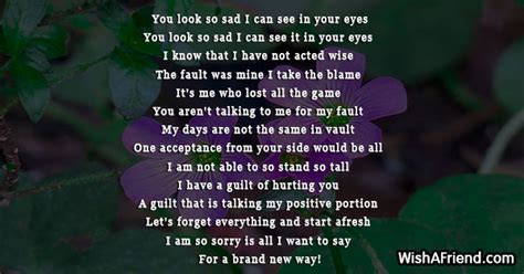 you look so sad i can see in your eyes sorry poem
