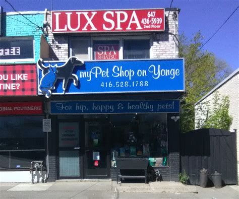 lux spa massage profile