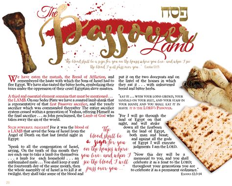 word  haggadah lets celebrate passover