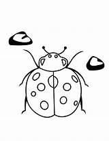 Coloring Pages Ladybug Bug Lady Cute Library Clipart Line Popular Comments sketch template