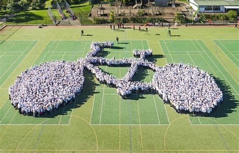 west auckland kids claim guinness world records title ourauckland