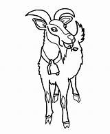 Moose Goats Animals Luna sketch template