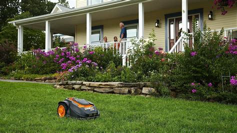 lawn  yard maintenance  gardening tips webstame