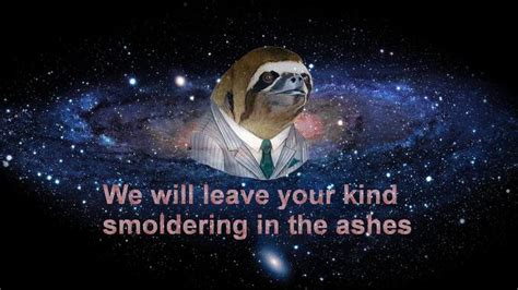 sloth wallpaper  sloths   meme