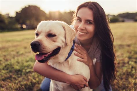 dog owners   longer     studies