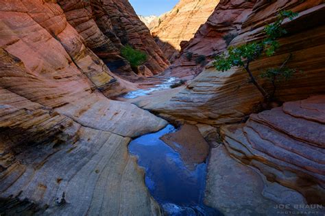 zion national park spry canyon canyoneering guide