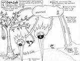 Carbon Cycle Coloring Sheet Visit sketch template