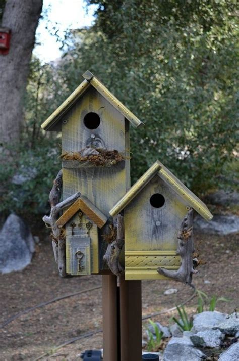 build bird house  diy instructions   ideas   avso