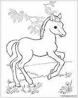 Horse Kids sketch template
