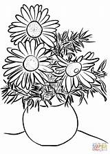 Coloring Daisies Vase Pages Daisy Drawing Printable Flower Flowers Getdrawings Supercoloring sketch template
