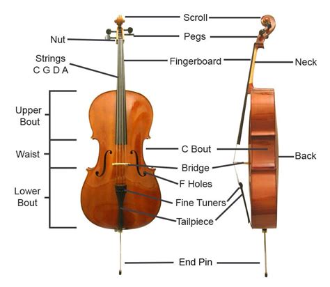 hire cello  started musical instrument hire