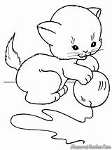 Kucing Mewarnai Kittens Kitten sketch template