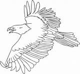 Eagle Coloring Pages Printable Kids Color Eagles Bald Flying Animal Bird Golden sketch template