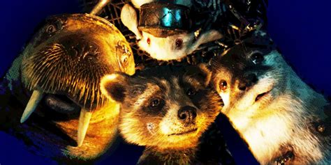 guardians   galaxy  rockets cellmates explained