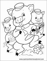 Cerditos Cuento Cuentos Cochons Trois Coloriage Pig Coloriages sketch template