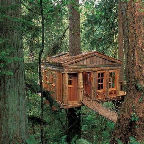 Tree Houses For Adults 40 Pics