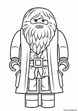 Coloring Potter Rubeus Hagrid Minifigure Harry Pages Lego Printable sketch template