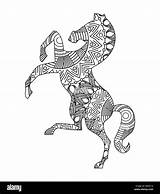 Cheval Zentangle Adultes Sauver Alamyimages sketch template