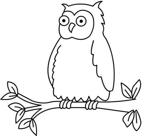 cartoon owl coloring pages   cartoon owl coloring