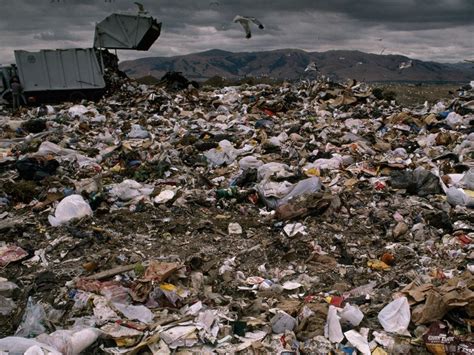 million deaths  year due  pollution wasteless future