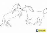 Schleich Malvorlagen Pferde Ausmalbild Ausmalen sketch template