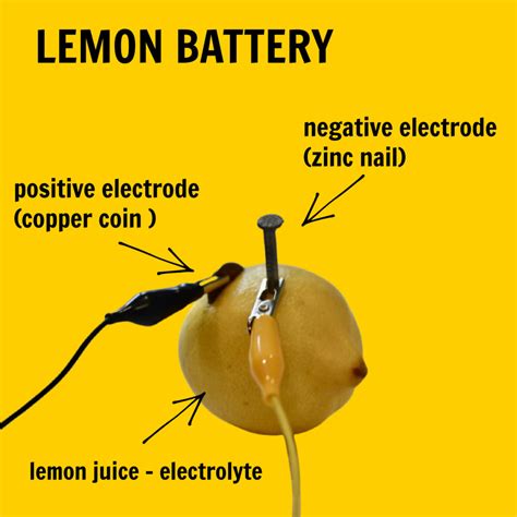 science experiments      lemon mallize