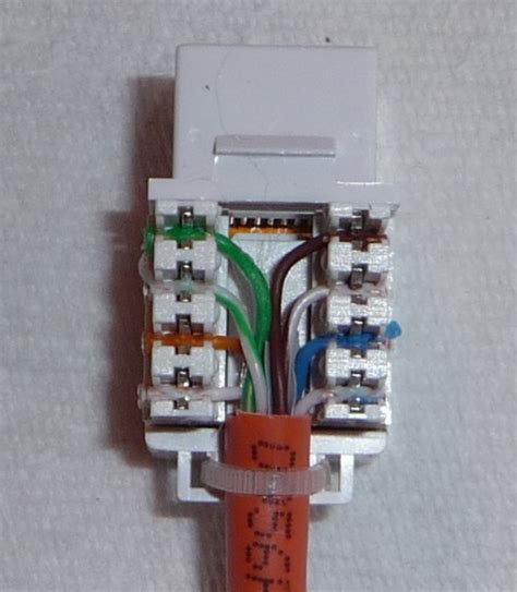 cat  plug wiring