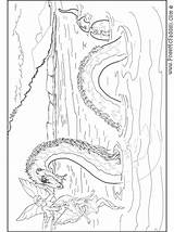 Nessie Pheemcfaddell sketch template