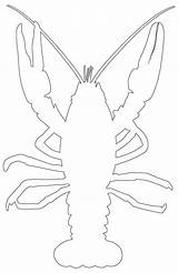 Outline Lobster Fish Coloring Happy Cute sketch template