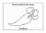 Naranja Fichas Sola Comparte Escuelaenlanube sketch template