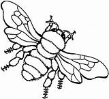 Biene Bienen Ausmalbilder Abeja Bees Insekten Malvorlagen Colouring Outline Kindergarten sketch template