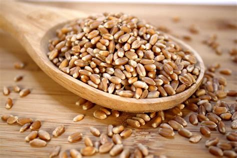 pieces  evidence  explain     eat wheat