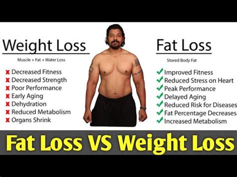 weight loss  fat loss youtube