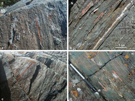 stretching lineation  strongly deformed tonalite indicative