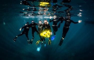buy   autonomous  fully wireless underwater drone