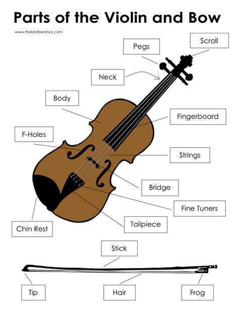 learn   violin