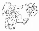 Vaca Mewarnai Colorat Desene Vacute Vacas Planse Hewan Lola Animale Domestice Granja Vitel Hitam Lebah Kartun Poza Niños Educative Cria sketch template