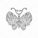 Zentangle Elephant Head Butterfly Stock Coloring Depositphotos Drawn Hand Book Style Tattoo Illustration sketch template