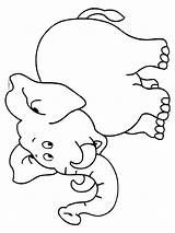 Olifant Kleurplaat Kleurplaten Dieren Olifanten Nl Tekenen Tekeningen Van Colouring Sheets Elephants Kleuterschool Voor Afkomstig Elmer Gif sketch template