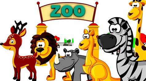 zoo animals  children zoo animals  children  learn wild