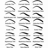 Eyebrow Eyebrows Brows Types Different Eye Makeup Shape Musely Buzzfeed sketch template