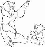 Bear Brother Coloring Pages Ausmalbilder Beer Coloringpages1001 sketch template
