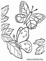 Kupu Mewarnai Bunga Diwarnai Kartun Hewan Kumpulan Mozaik Kolase Lembar Hias Colorir Makanan Insetos Freewaremini Bentuk Ragam Sketsa Batik Lucu sketch template
