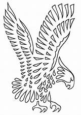 Hawk Coloring Pages sketch template