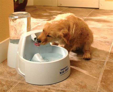 drinkwell big dog pet fountain dog water fountain big dogs dog fountain
